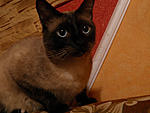 P4150040