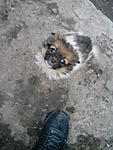 IMG 20150117 153341135