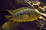 20160403 IMG 8556