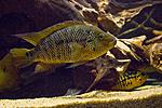 20160403 IMG 8548