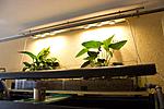 20160403 IMG 8539