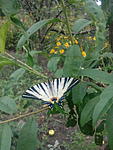 IMG 20150815 130215283