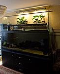 20160403 IMG 8538
