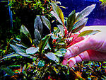 DSCF3465