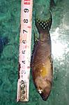 IMG 20160411 112655 950 1