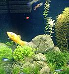 IMG 20160505 081420443