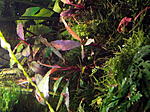 DSCF1906