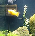 IMG 20160505 081415036