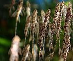 IMG 5167