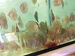 IMG 3763
