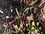 DSCF1888