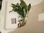 IMG 7005