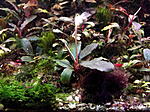 DSCF1896
