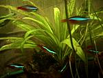 IMG 20160120 185405
