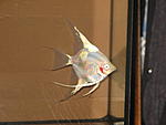 IMG 6573