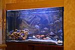 317524546 3 1000x700 srochno super predlozhenie polnyy komplekt akvarium 250 l akvariumistika rev004