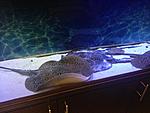 IMG 2400[1]