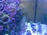IMG 20160513 191529
