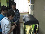 IMG 6310