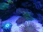 IMG 20160513 191412