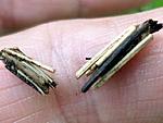 SAM 7943