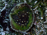DSC 0369