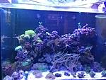 IMG 20160513 191309