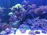IMG 20160513 191345