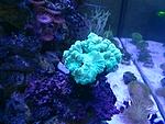 IMG 20160513 191501