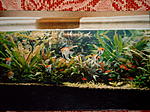 Bild8766