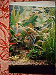 Bild8767