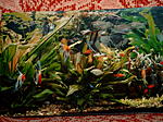 Bild8765