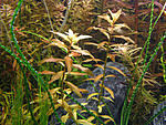 P3150151