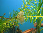 IMG 1826