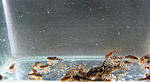 IMG 4062
