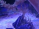 IMG 20160615 190814