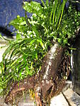 IMG 6939