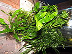 IMG 6940