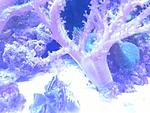 IMG 20160615 190713
