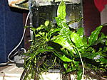 IMG 6937