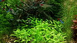 IMG 20160608 175620