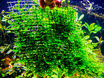 DSCF3758