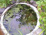 IMG 20160623 181656