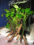 IMG 6941