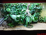 DSC00093
