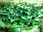 DSC00748