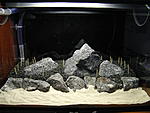 IMG 3383
