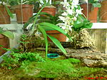 DSC00154