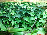 DSC00750