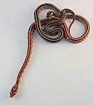 hypo tessera